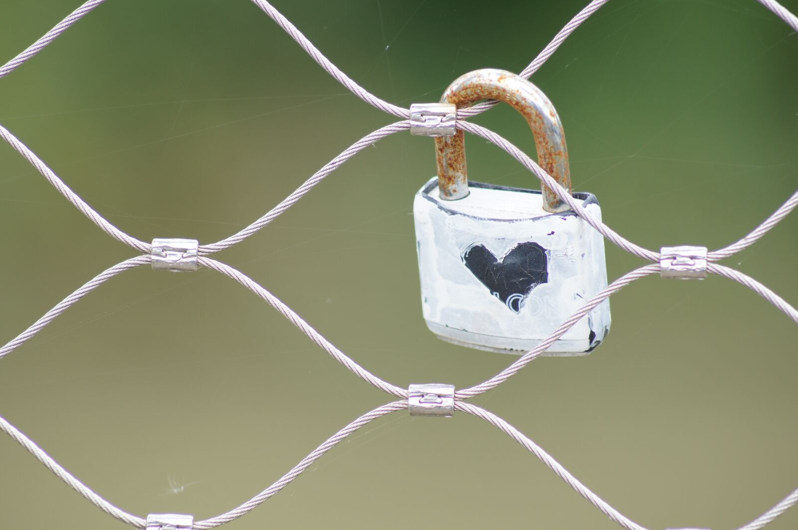 Sony SLT-A55 (SLT-A55V) sample photo. Love, castle, fence photography