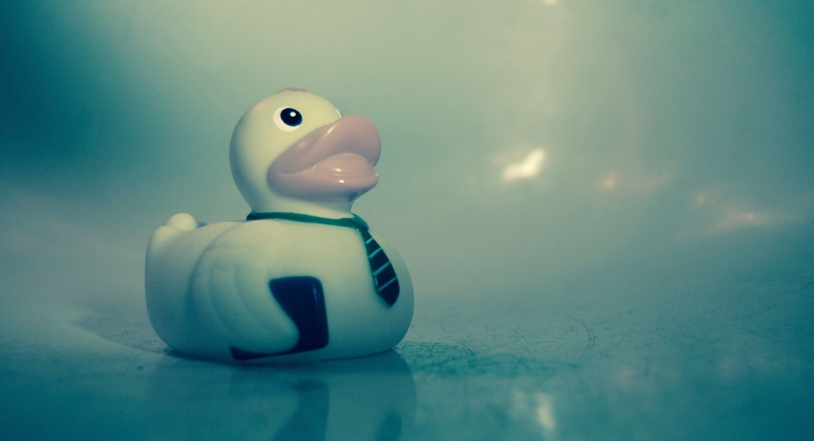 Nikon D40X sample photo. Rubber duck, bath, yellow photography