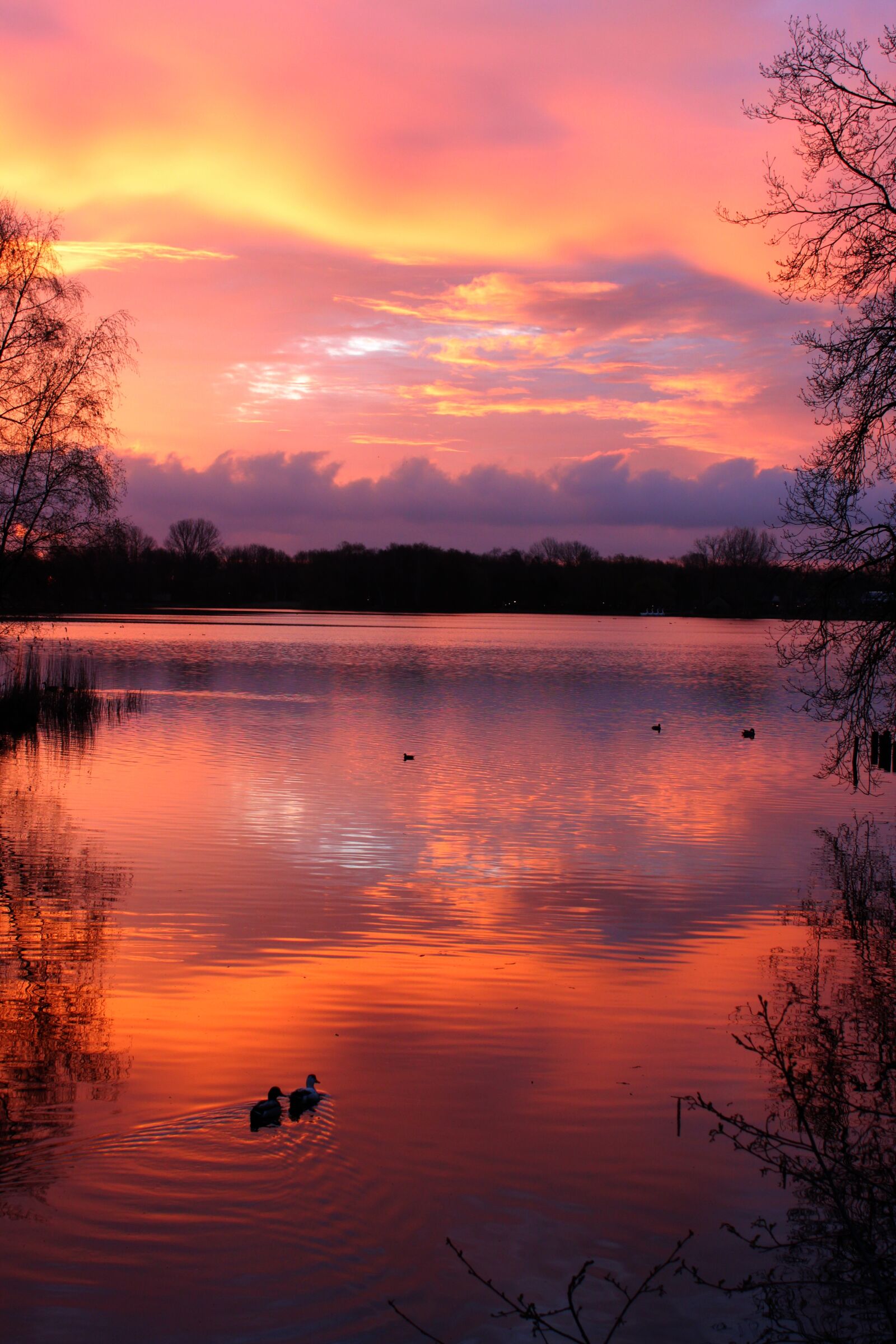 Canon EOS 600D (Rebel EOS T3i / EOS Kiss X5) sample photo. Sunset, lake, abendstimmung photography