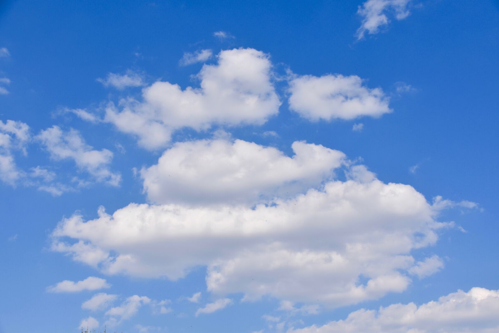 Nikon D5600 sample photo. Clouds, white clouds, cumulus photography