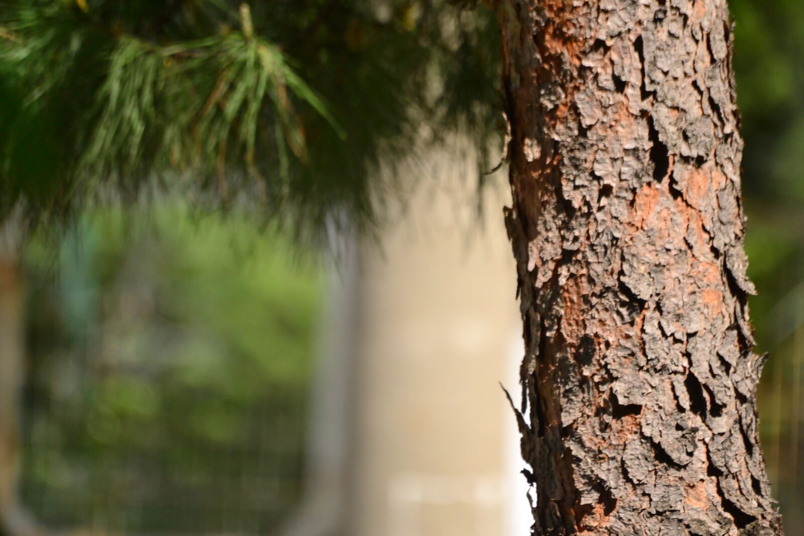 Nikon D3100 sample photo. Turkey, bursa, nilufer photography
