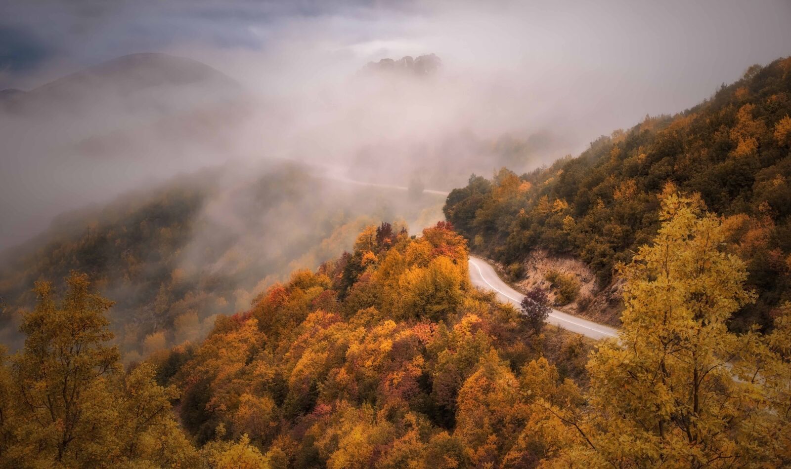 Tamron SP 24-70mm F2.8 Di VC USD sample photo. Fog, rain, road photography