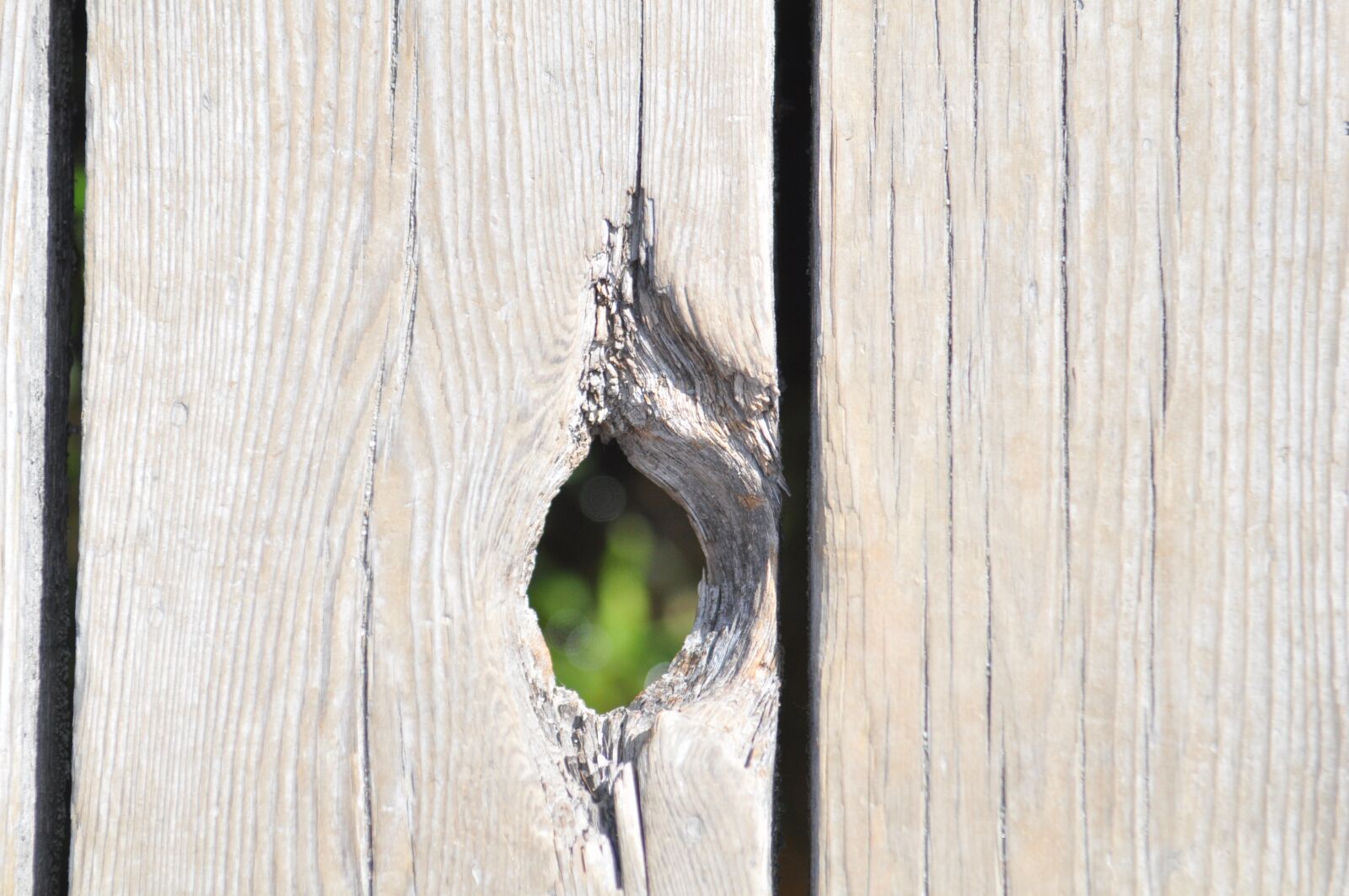 Nikon D90 sample photo. Hole, wood planks, old photography