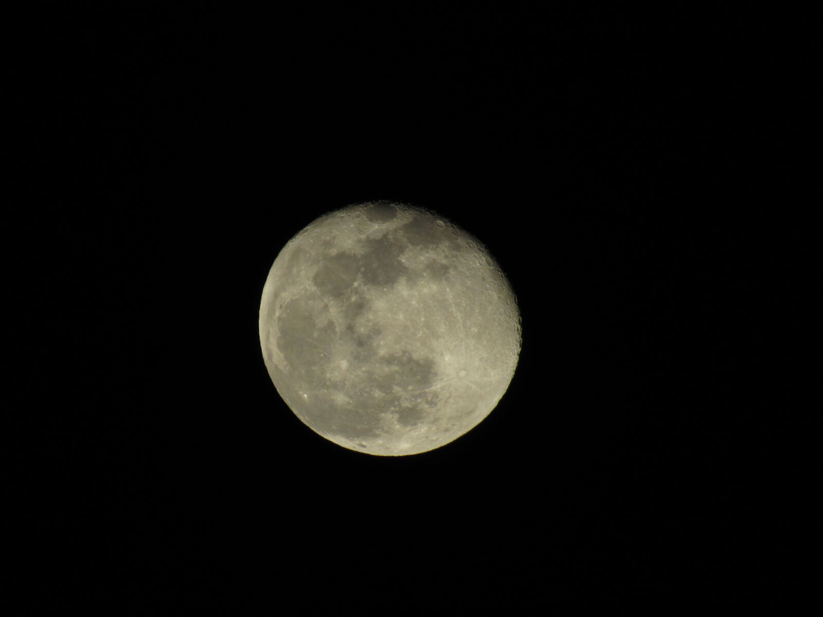 Canon PowerShot SX520 HS sample photo