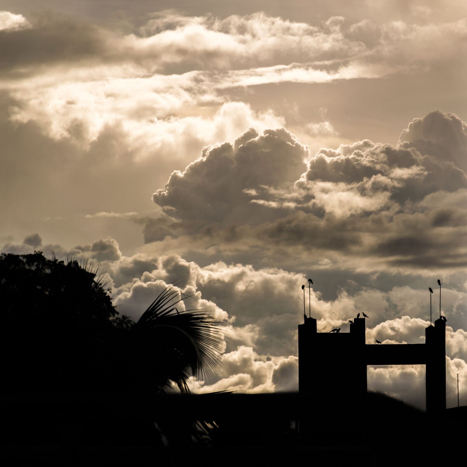 Nikon D5300 sample photo. Silhouette, clouds, cloudporn photography