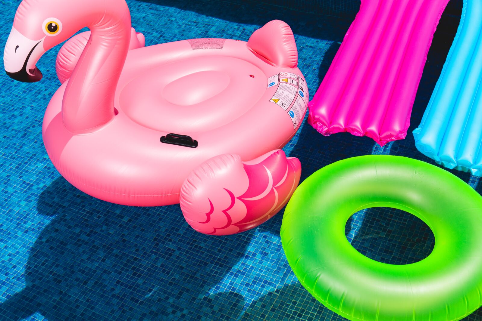 Canon EF 24-70mm F2.8L II USM sample photo. Water, animal, fun photography