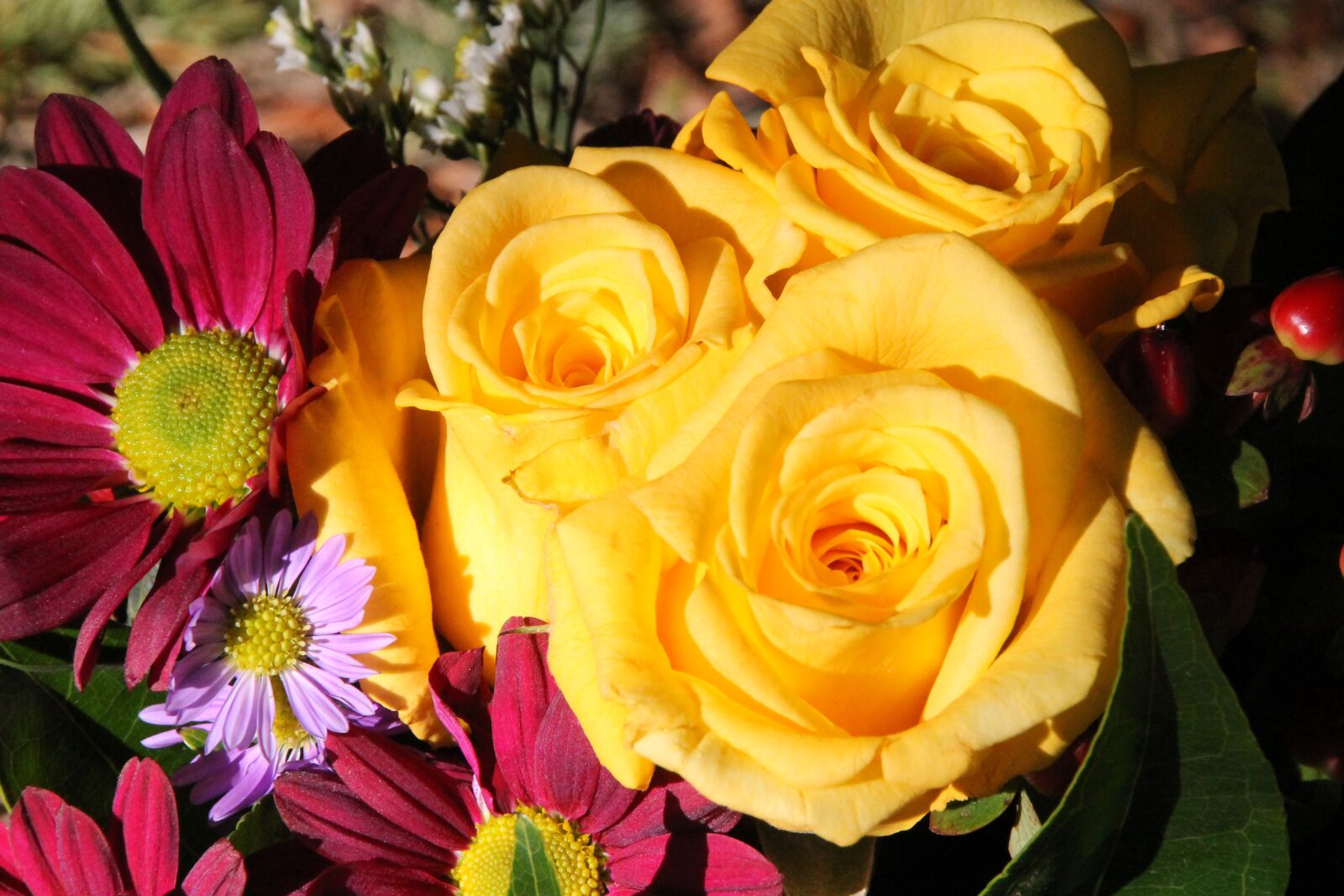Canon EOS 1100D (EOS Rebel T3 / EOS Kiss X50) sample photo. Floral, blossoms, backdrop photography