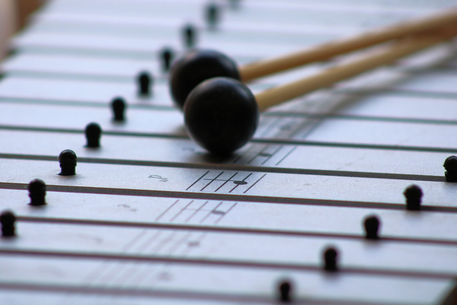 Canon EOS 750D (EOS Rebel T6i / EOS Kiss X8i) sample photo. Music, xylophone, instrument photography