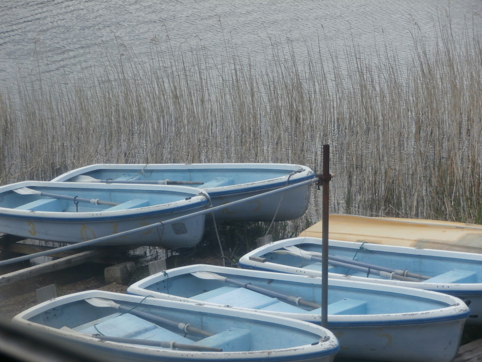 Olympus VR350,D755 sample photo. Hakone, rowboats, landscape photography