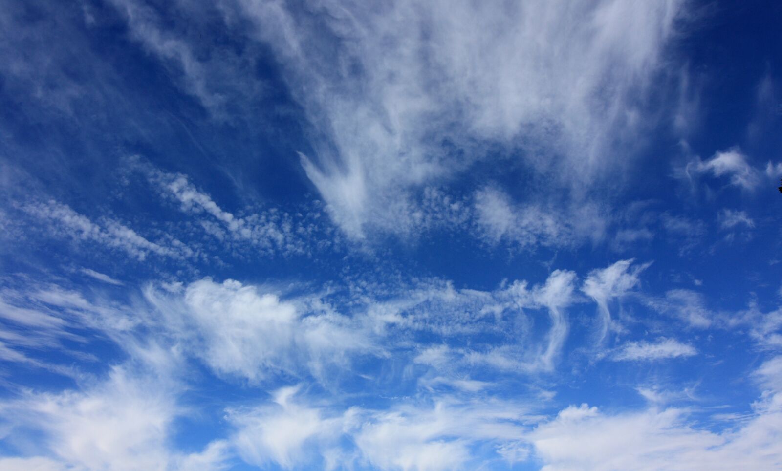Canon EOS 450D (EOS Rebel XSi / EOS Kiss X2) sample photo. Sky, clouds, clouds form photography