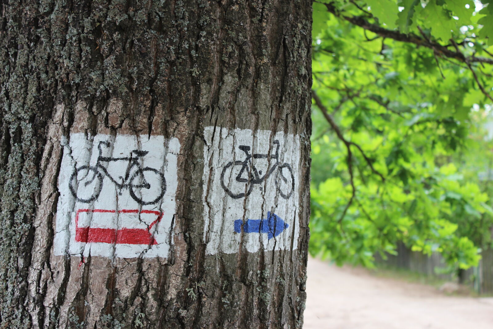 Canon EOS 1200D (EOS Rebel T5 / EOS Kiss X70 / EOS Hi) sample photo. Bike, forest, sign, simbol photography