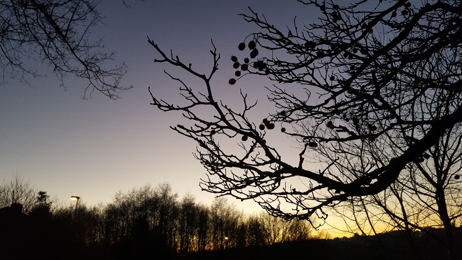 Samsung Galaxy S6 sample photo. Sunset, tree, winter photography