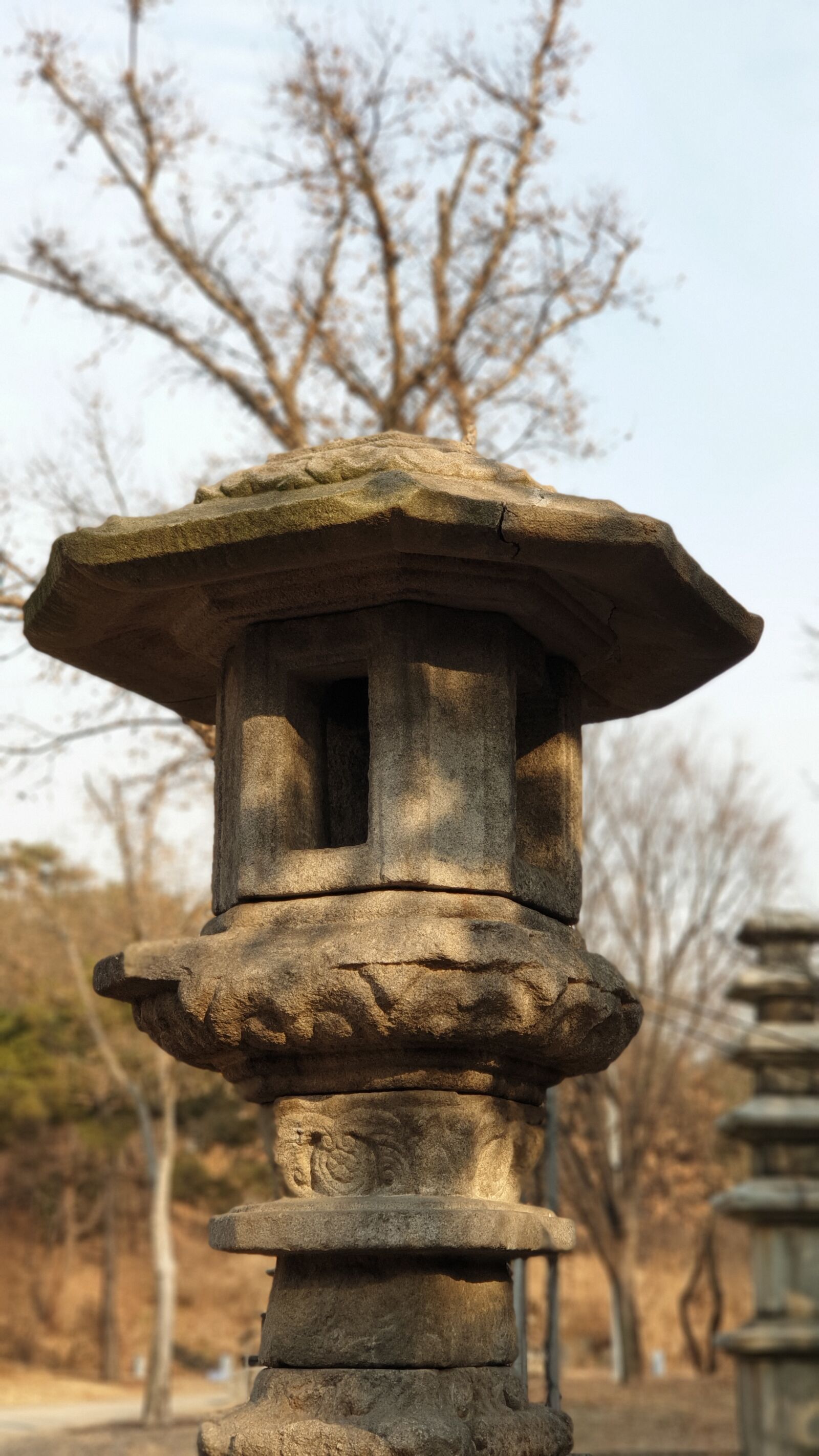 Samsung Galaxy Note9 sample photo. Traditional, light, lighting photography
