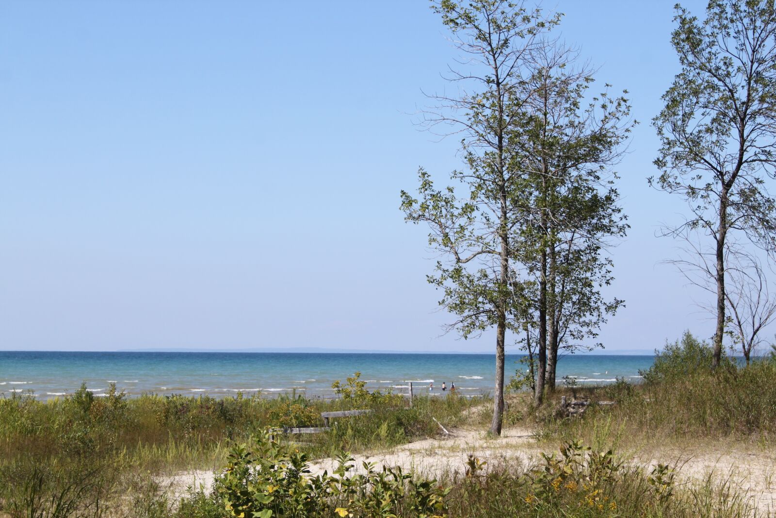 Canon EOS 500D (EOS Rebel T1i / EOS Kiss X3) sample photo. Wasaga beach, ontario, sandy photography