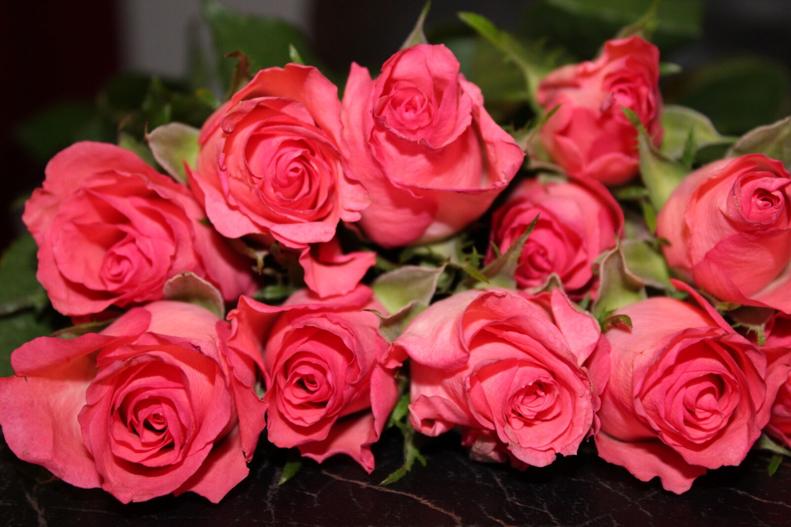 Canon EOS 1300D (EOS Rebel T6 / EOS Kiss X80) sample photo. Roses, pink roses, bouquet photography