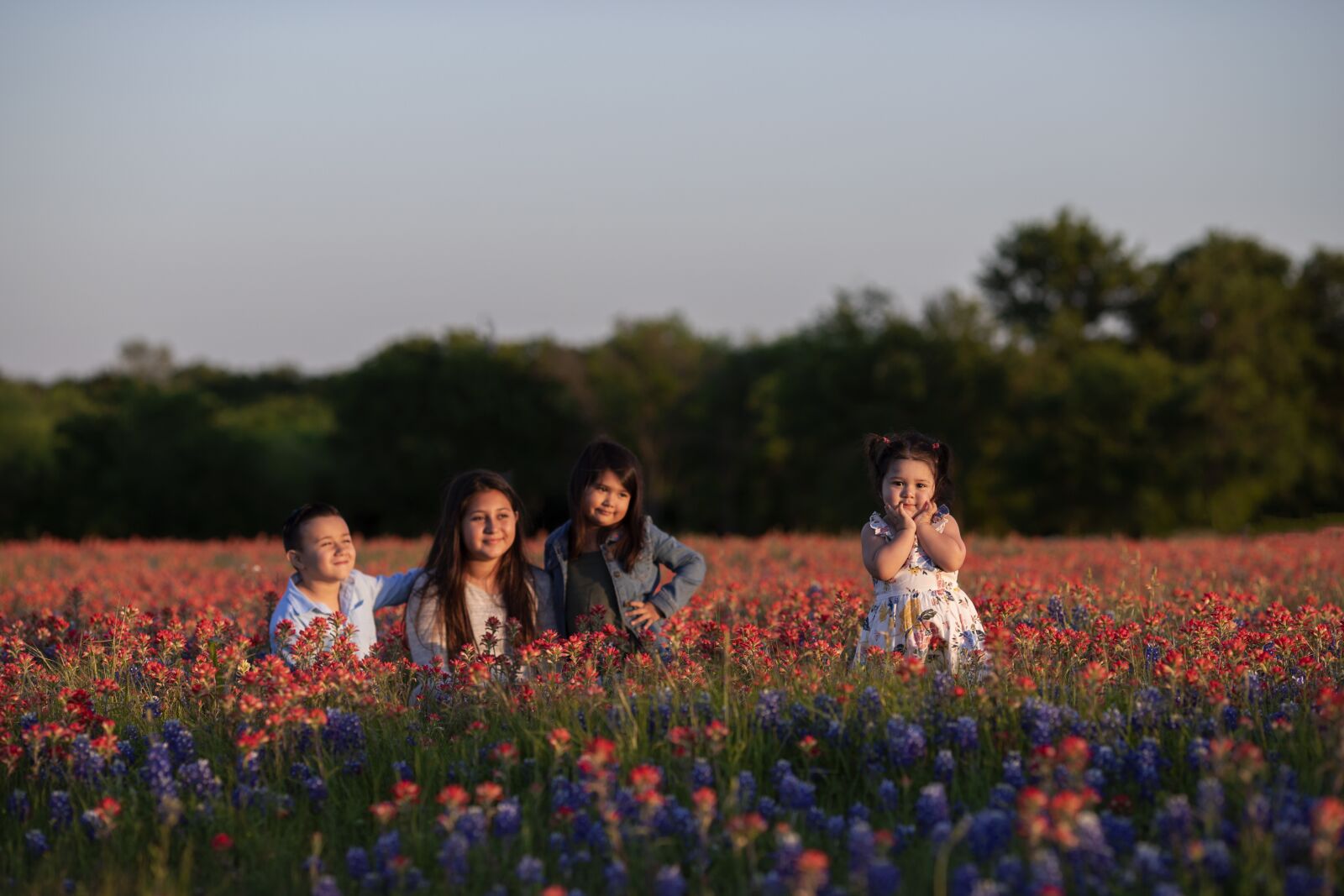 Canon EOS 6D Mark II + Canon EF 135mm F2L USM sample photo. Bluebonnets, spring, flower photography