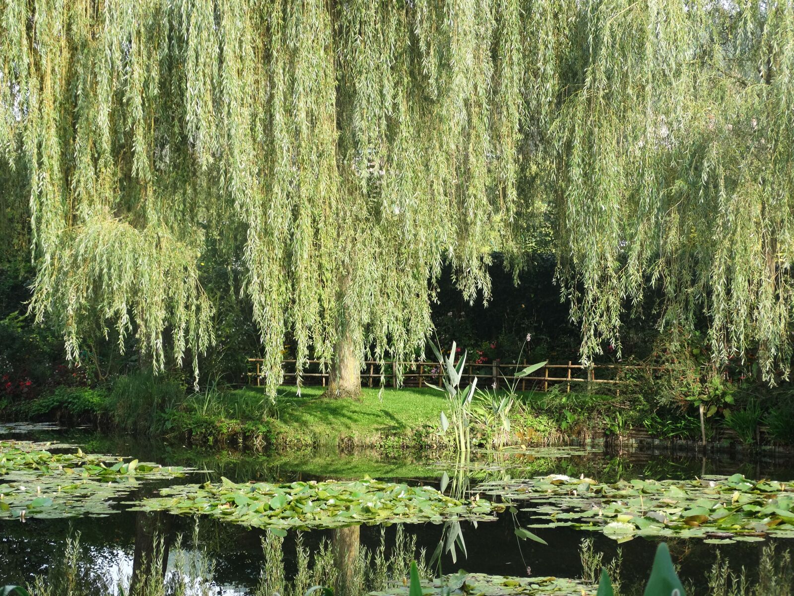 Sony Cyber-shot DSC-HX300 sample photo. Garden, lake, landscape photography