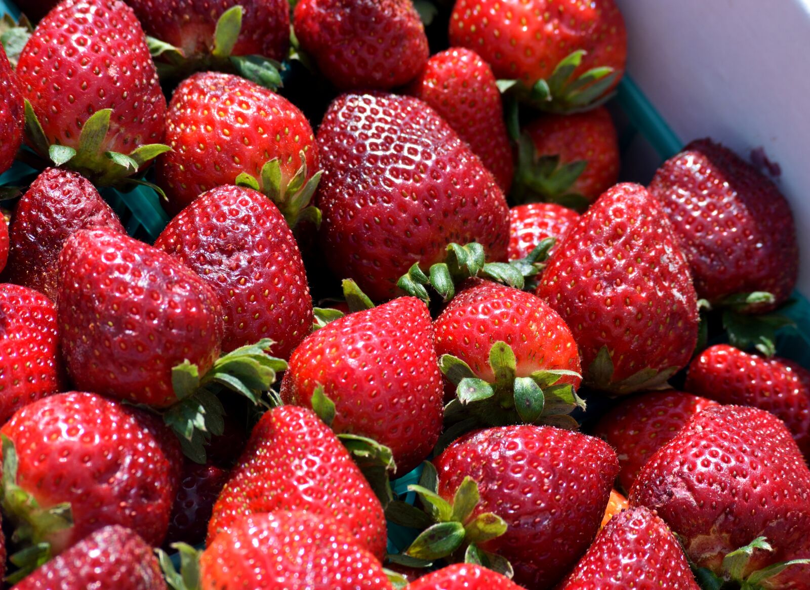 Nikon D3300 sample photo. Strawberry, fruit, berry photography