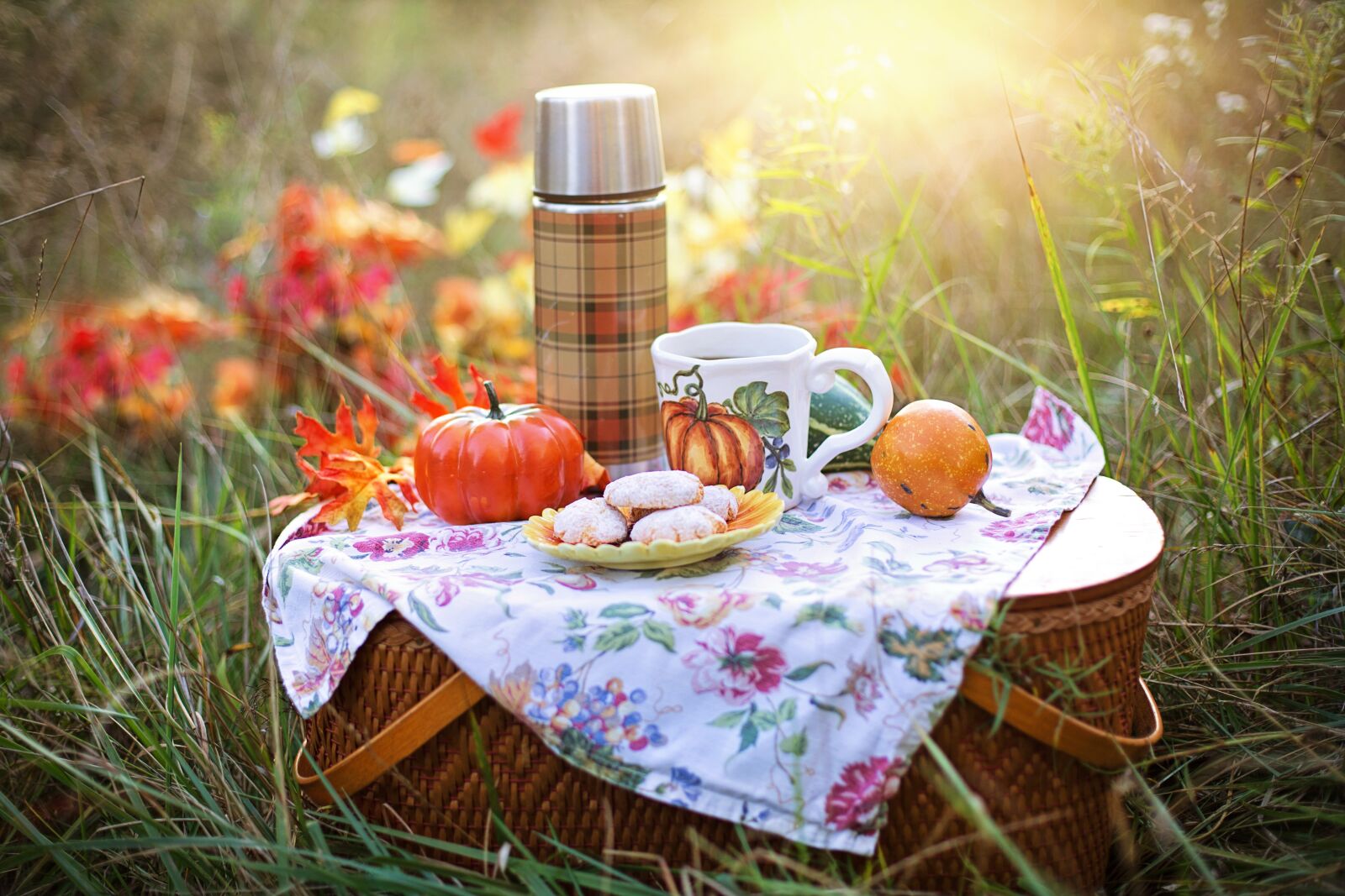 Canon EF 50mm F1.4 USM sample photo. Autumn, tea, fall photography