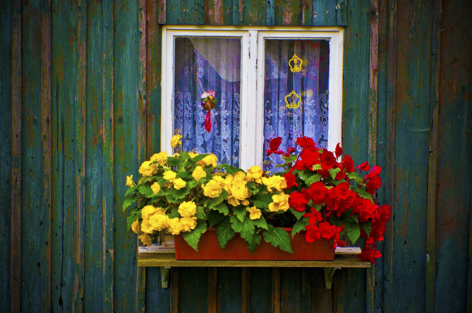 Nikon D5000 sample photo. Fenster, bund, farben photography
