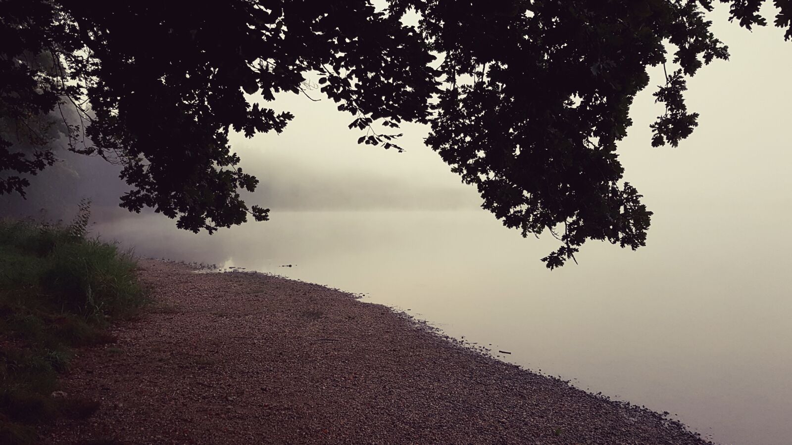 Samsung Galaxy S7 Edge sample photo. Fog, lake, water photography