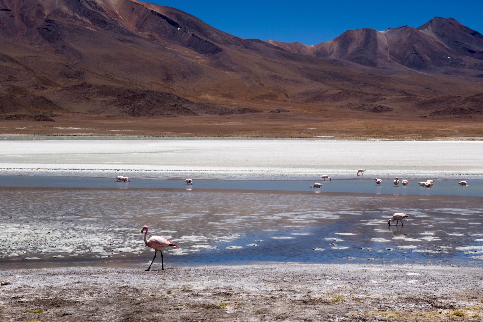 Sony Cyber-shot DSC-RX100 II sample photo. Bolivia, salt, landscape photography