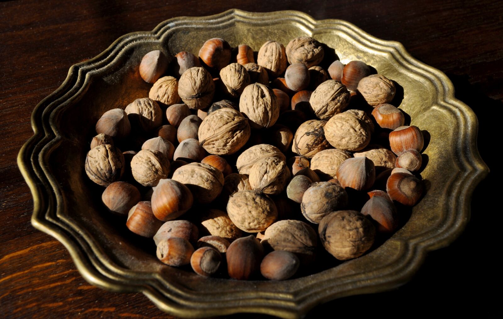Nikon D5000 sample photo. Eating, seed, healthy photography