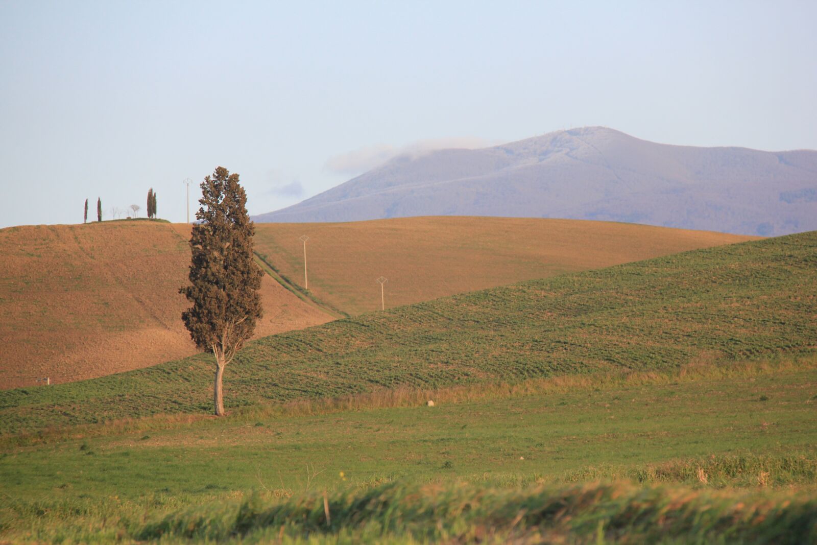 Canon EOS 550D (EOS Rebel T2i / EOS Kiss X4) sample photo. Home page, tuscany, italy photography