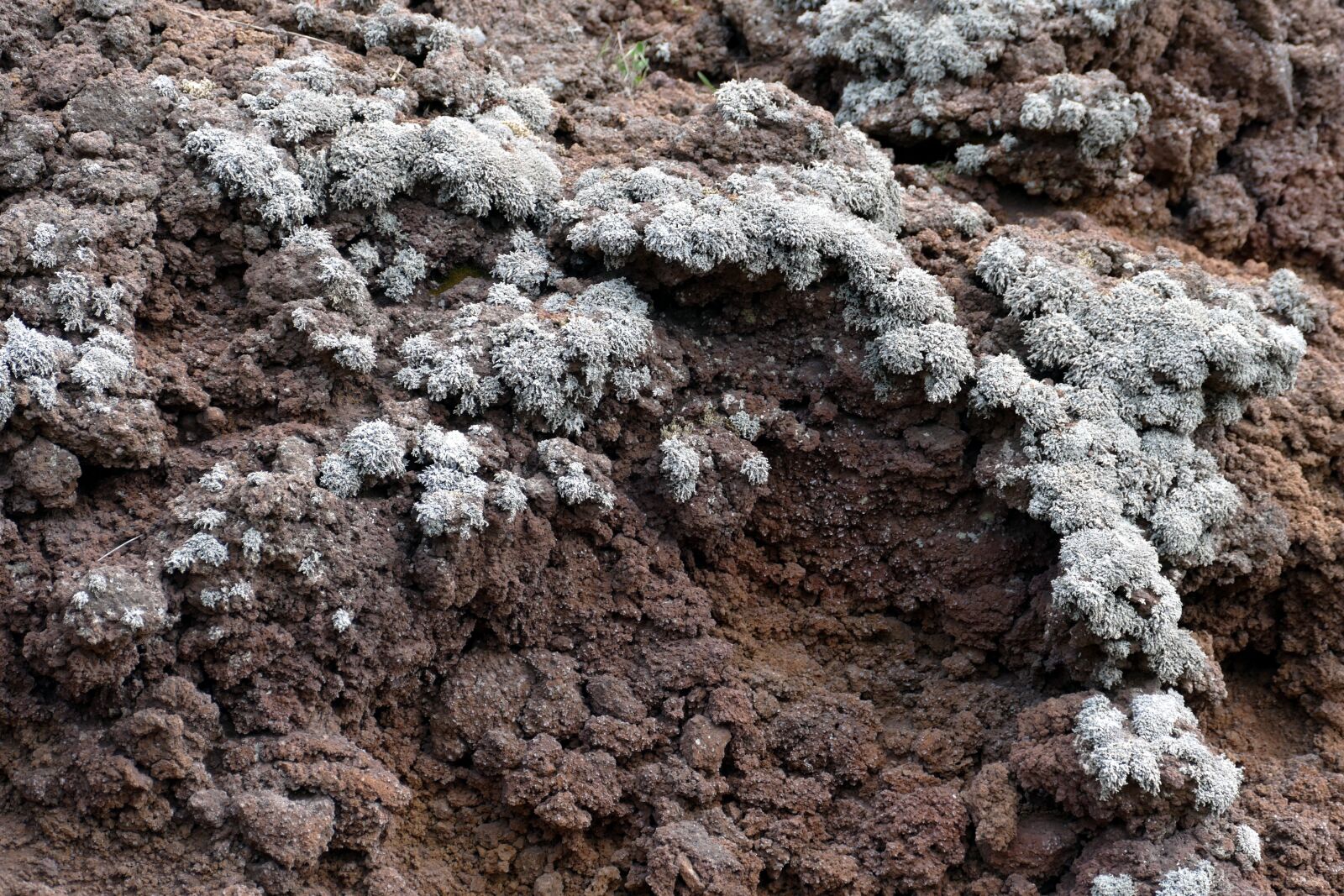 Panasonic Lumix DMC-FZ1000 sample photo. Vesuvius, volcano, naples photography