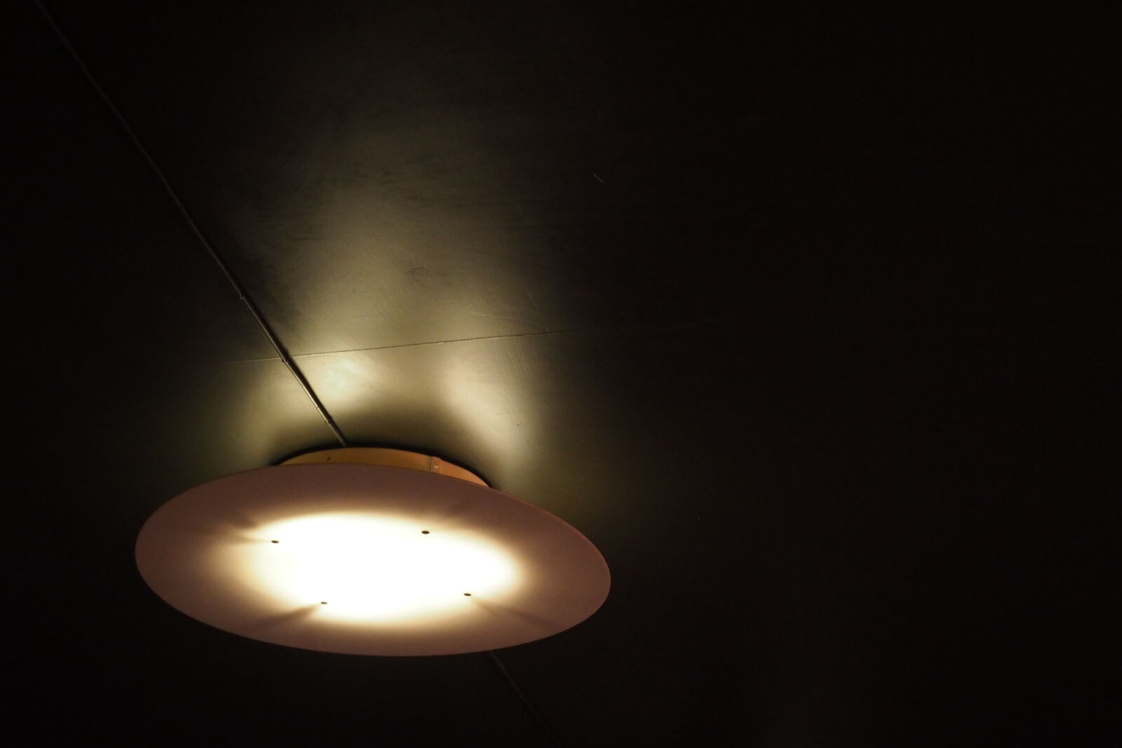 Olympus OM-D E-M10 sample photo. Meet the ceiling photography