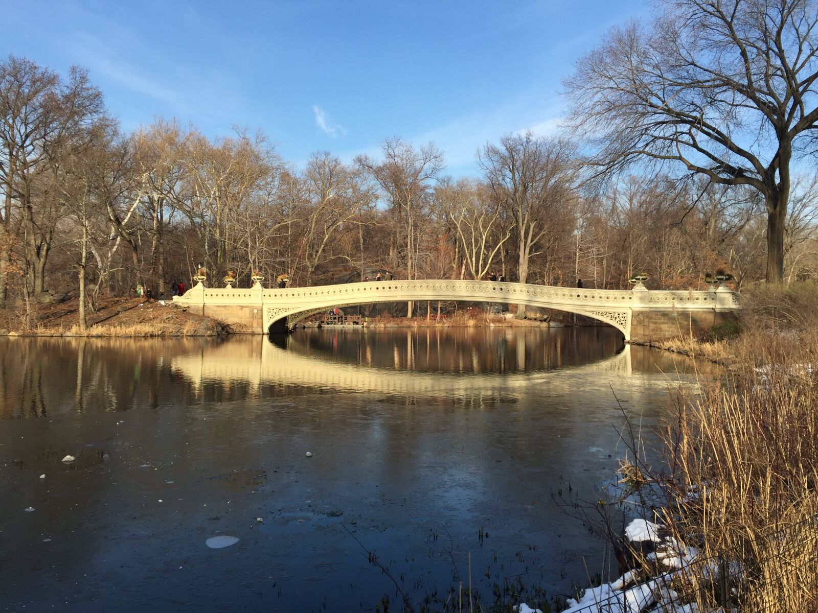iPhone 6 Plus back camera 4.15mm f/2.2 sample photo. Bridge, lake, tree photography