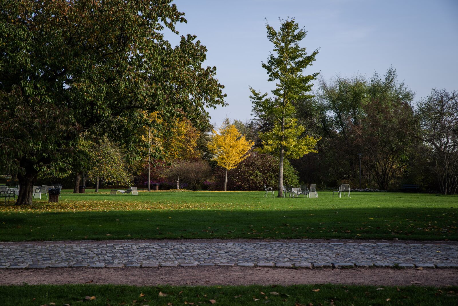 Pentax K-1 Mark II sample photo. Autumn, park, fall foliage photography