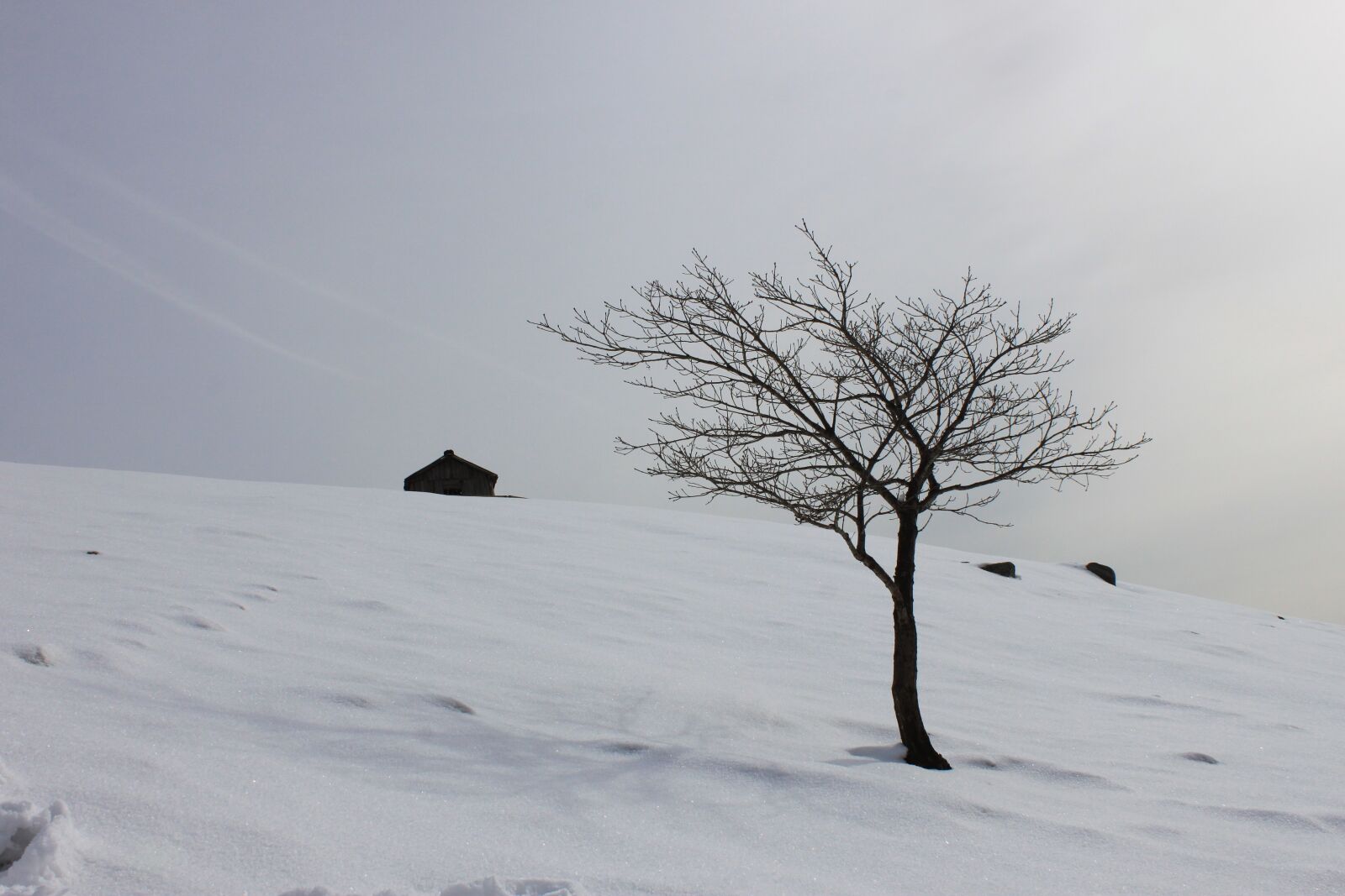 Canon EOS 500D (EOS Rebel T1i / EOS Kiss X3) sample photo. Snow, winter, scenery photography