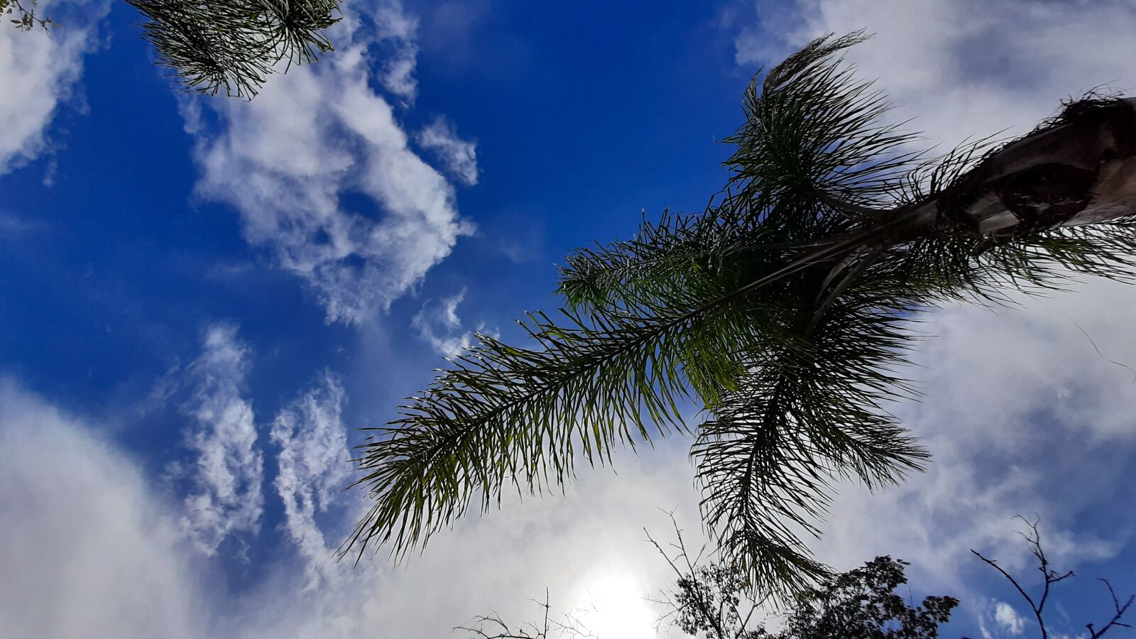 Samsung Galaxy A50 sample photo. Sky, blue, sun photography