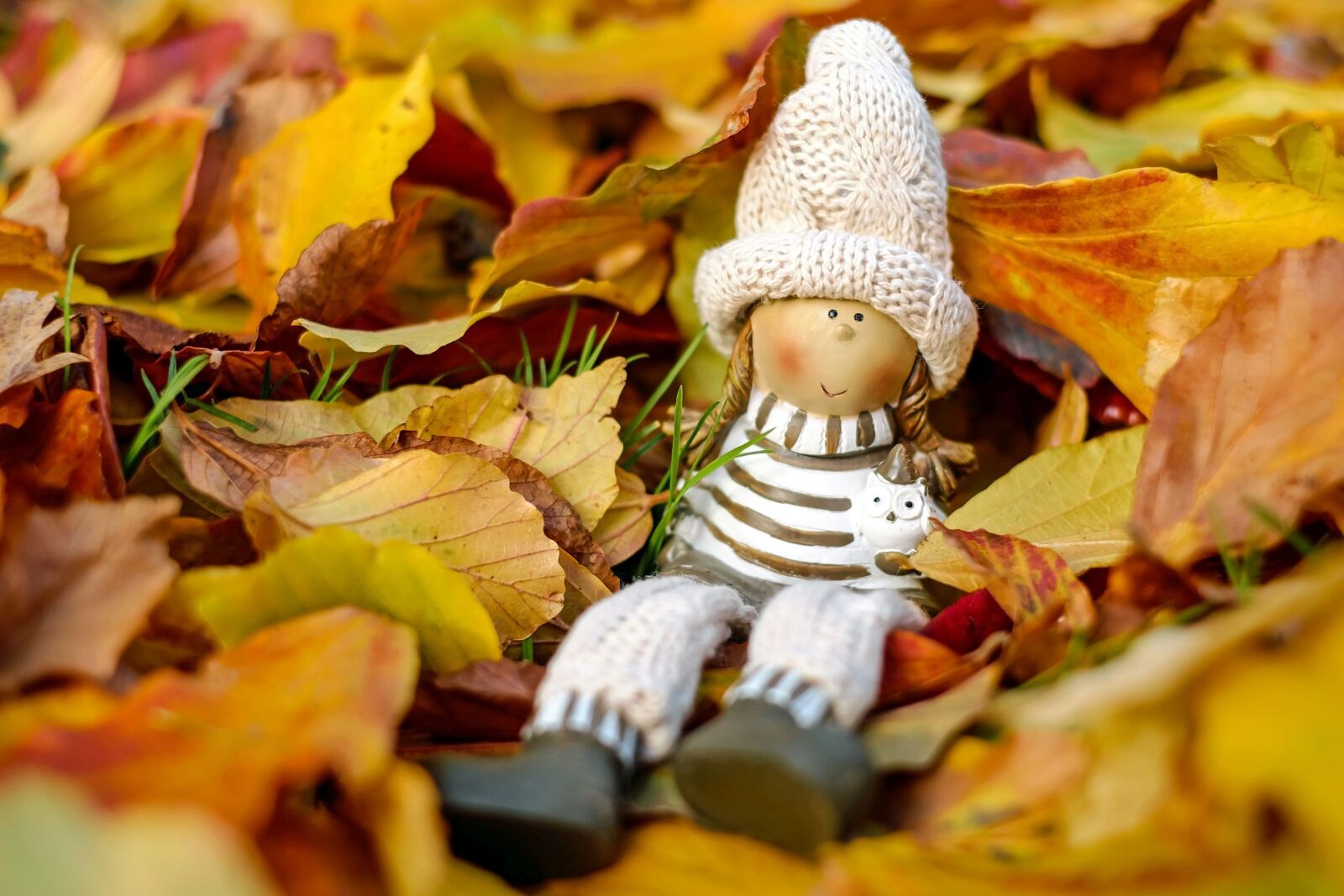 Fujifilm X-T10 + Fujifilm XF 35mm F1.4 R sample photo. Doll figure, figure, girl photography