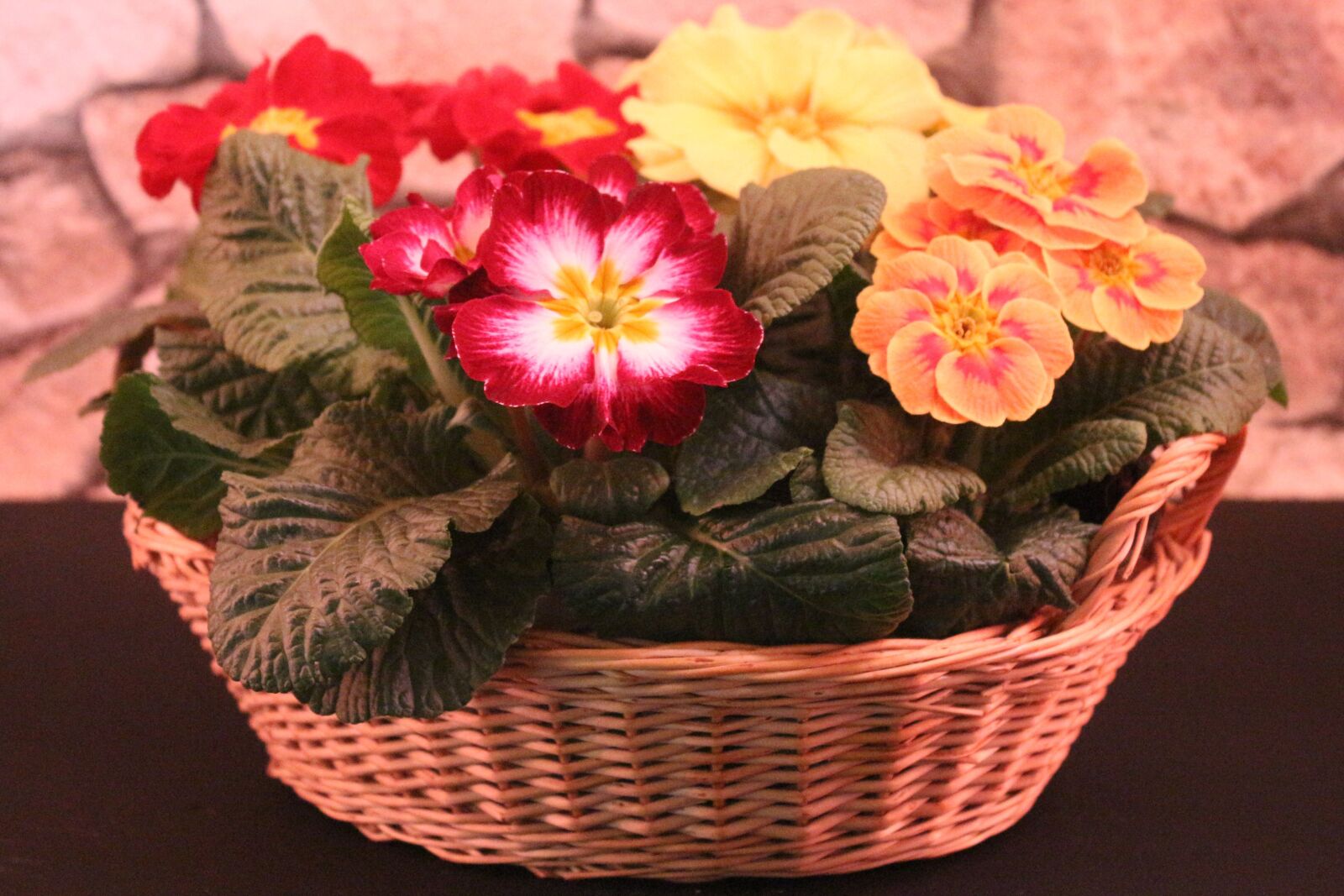 Canon EF-S 18-55mm F3.5-5.6 IS sample photo. Flowers, colorful, basket photography