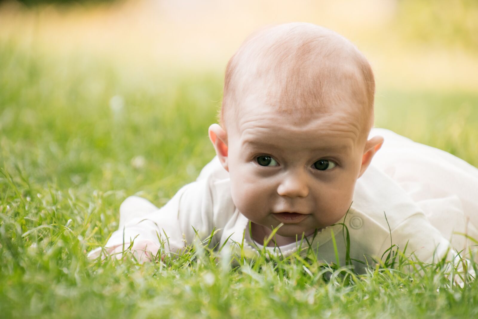 Nikon D3300 sample photo. Grass, child, nature photography