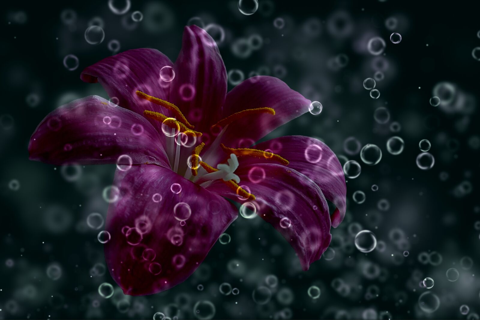 Samsung Galaxy Note5 sample photo. Daylily, purple, drop of photography