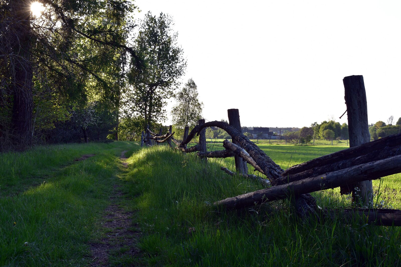 Nikon D3400 sample photo. Village, fencing, field photography