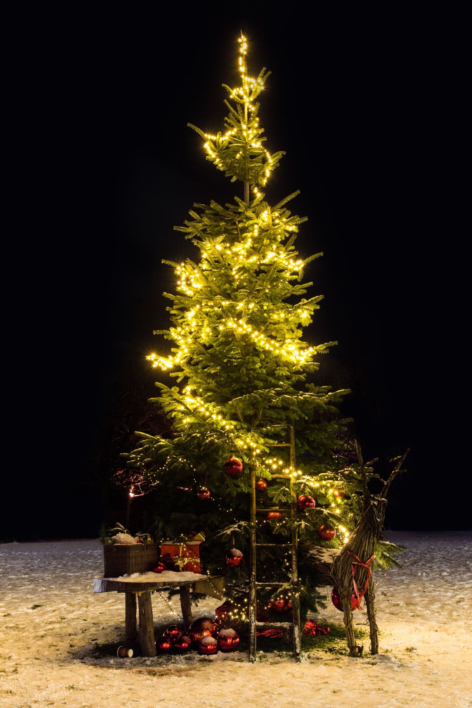 Canon EOS 60D sample photo. Christmas tree, christmas, christmas photography