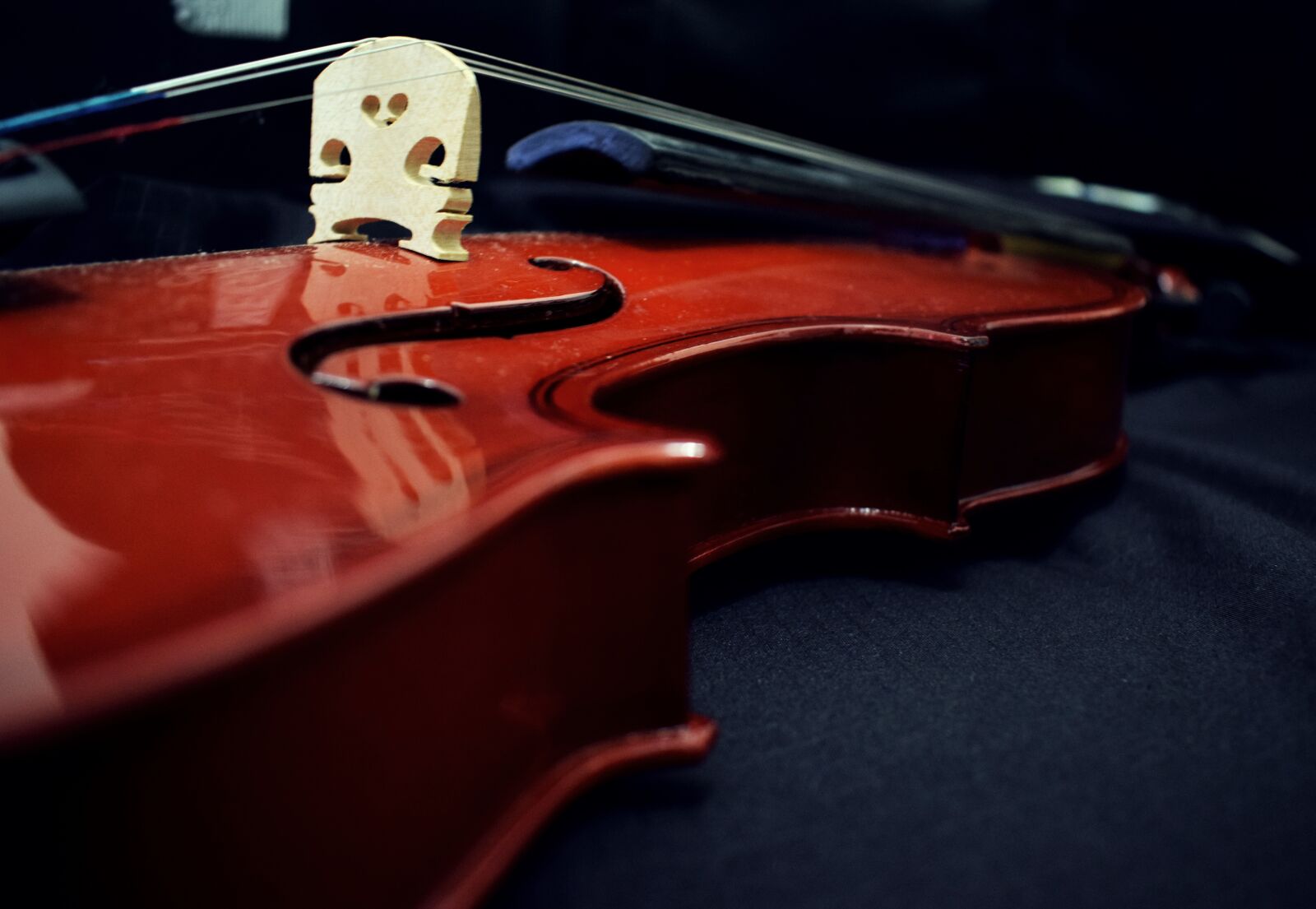 Nikon D5300 sample photo. Violin, music, musical photography