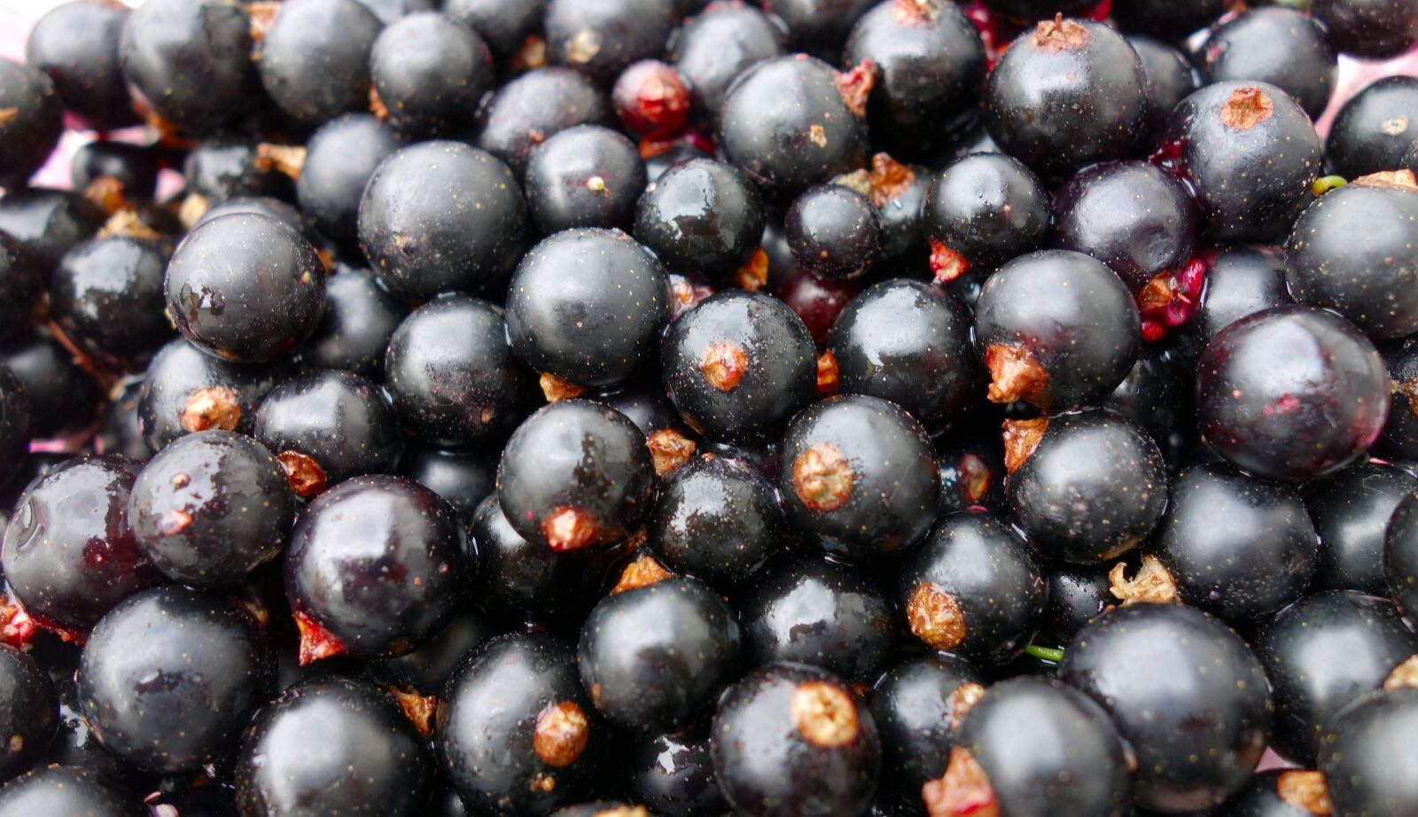 Sony Cyber-shot DSC-RX100 sample photo. Currants, fruit, food photography