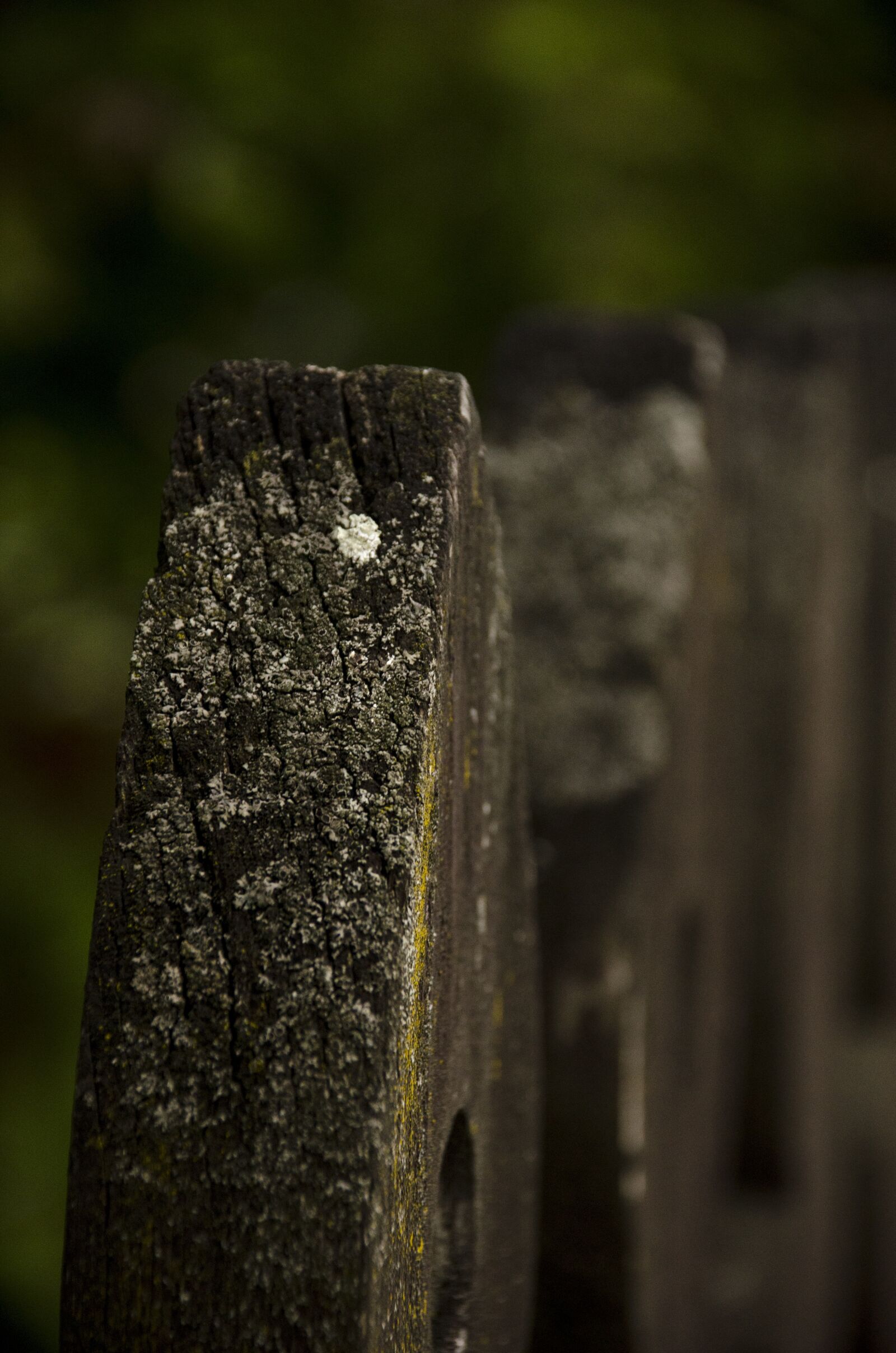 Nikon D7000 sample photo. Wood, material, textures photography