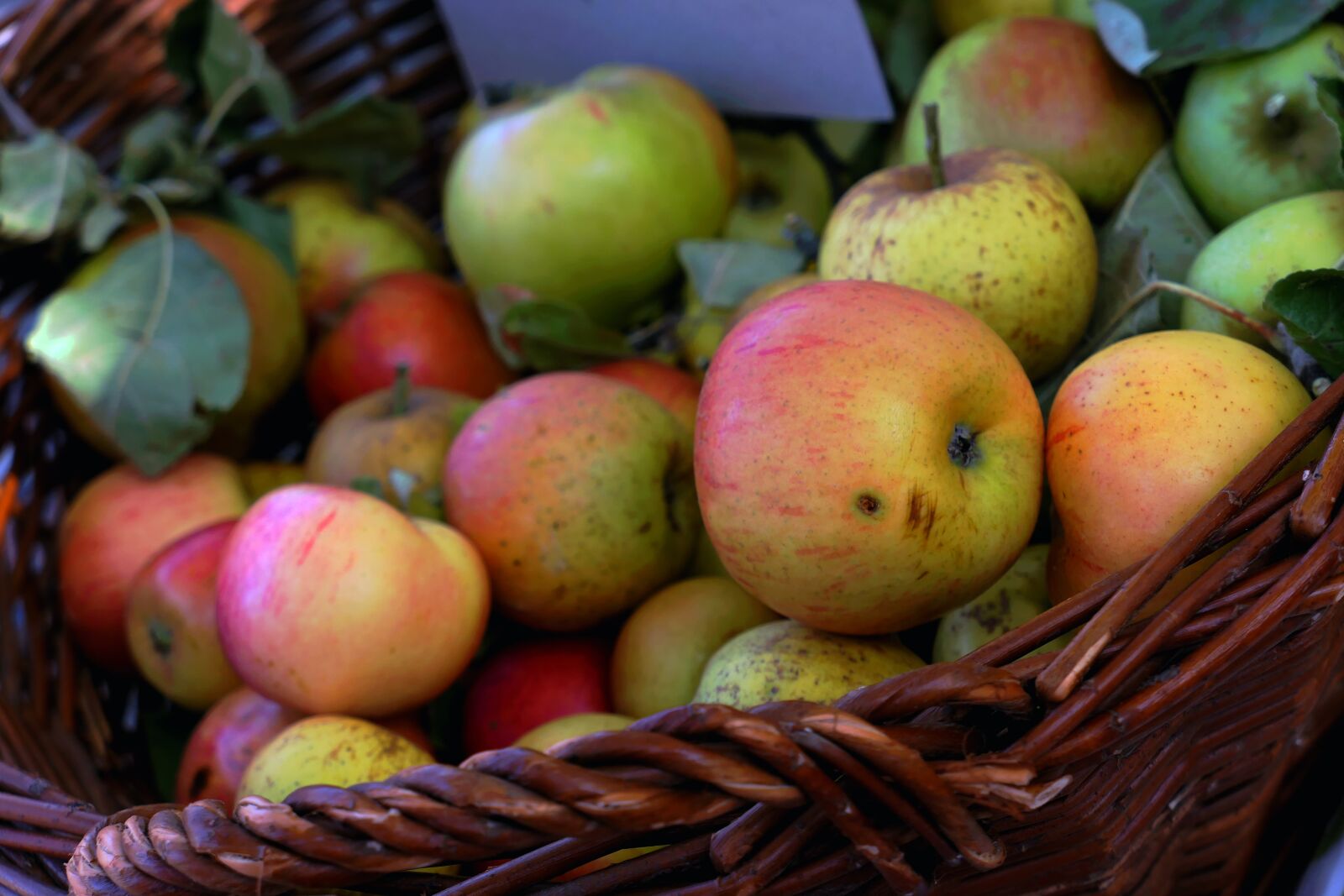Panasonic Lumix DMC-LX10 (Lumix DMC-LX15) sample photo. Apple, apple juice, autumn photography
