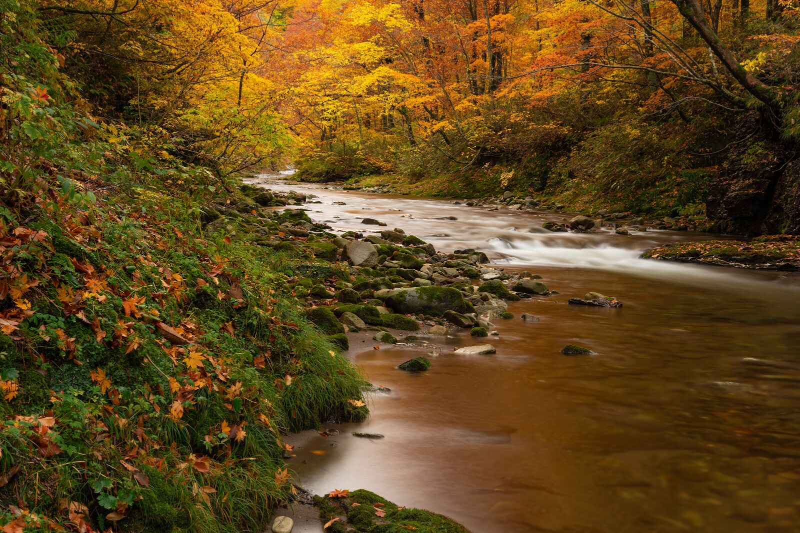 Sony a7R IV sample photo. Landscape, autumn, torrent photography