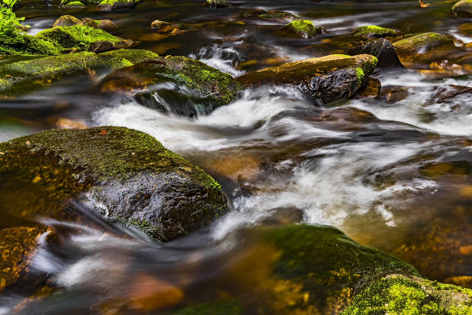 Sony a6300 + Sigma 30mm F2.8 EX DN sample photo. Water, river, nature photography