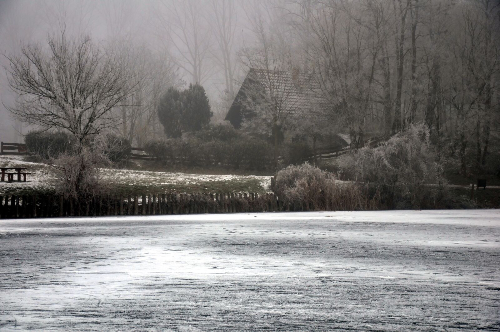 Nikon D90 sample photo. Frosty countryside, ice, winter photography