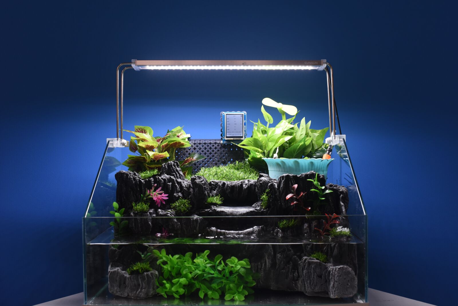 Nikon D810 sample photo. Internet of things, high photography