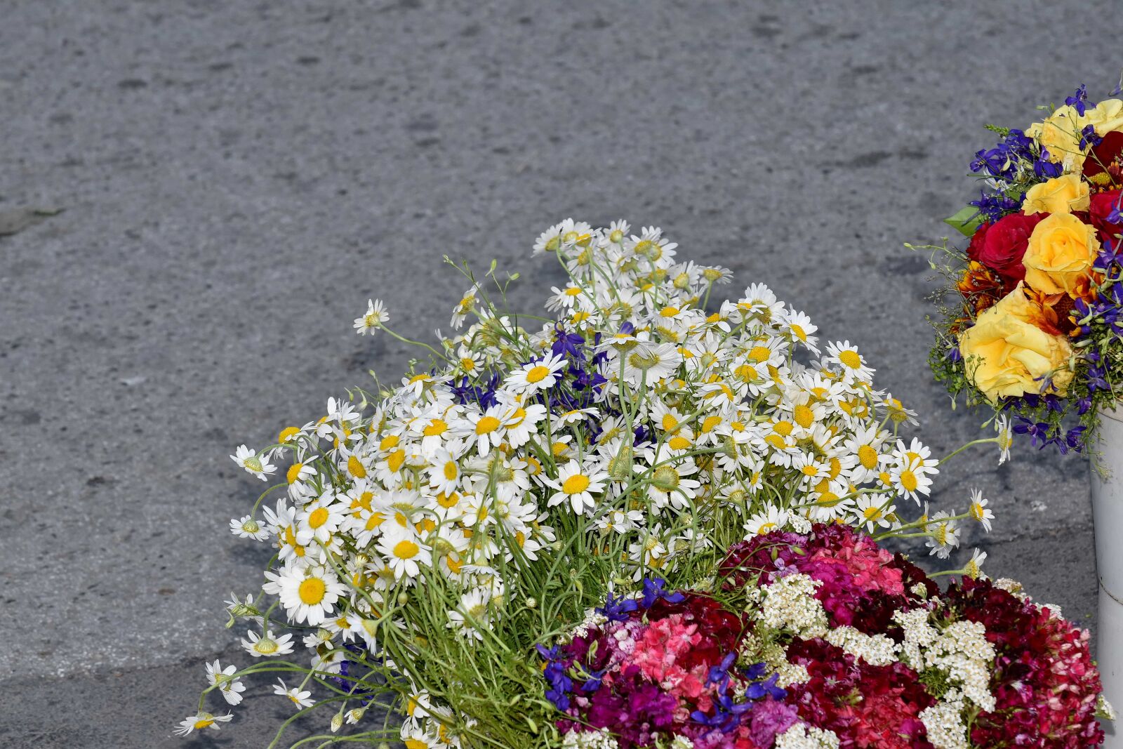 Nikon D5500 sample photo. Bouquet, bucket, chamomile, herb photography