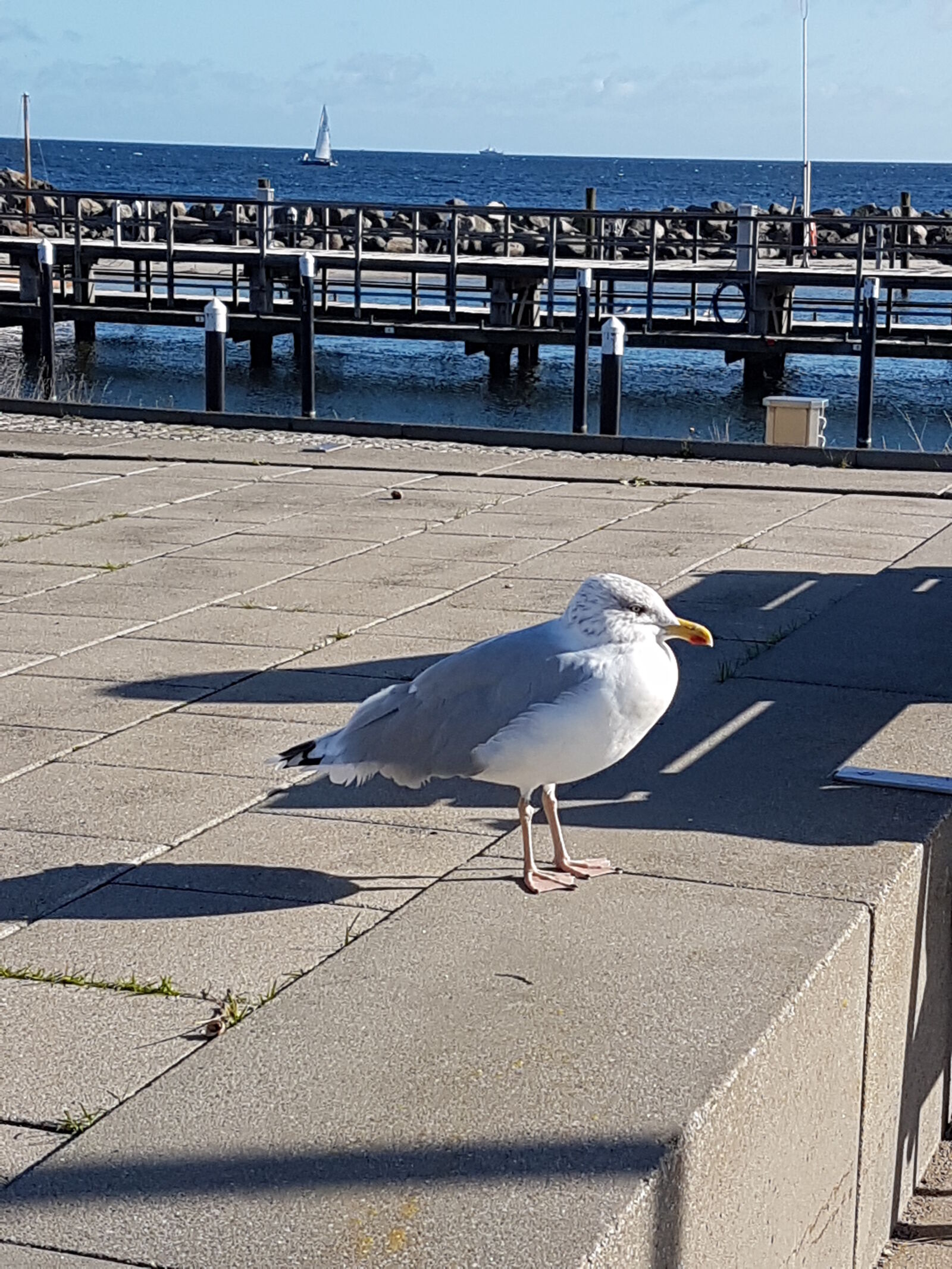 Samsung Galaxy S7 sample photo